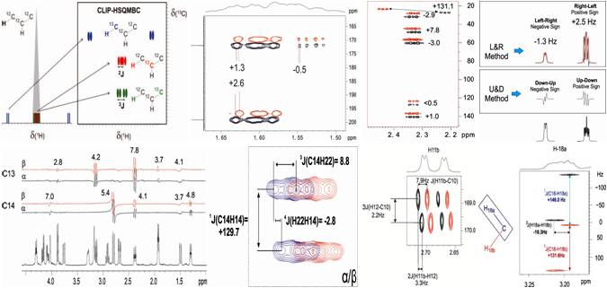 download plant cell culture