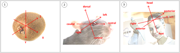 SystemOperation_CoordinateSystem-Image