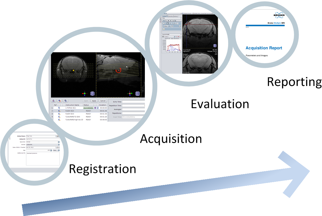 ParaVision – Concepts: General Workflow