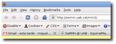 La antiga pàgina web a rmn3 ara és a sermn.uab.cat/rmn3 (detall)  