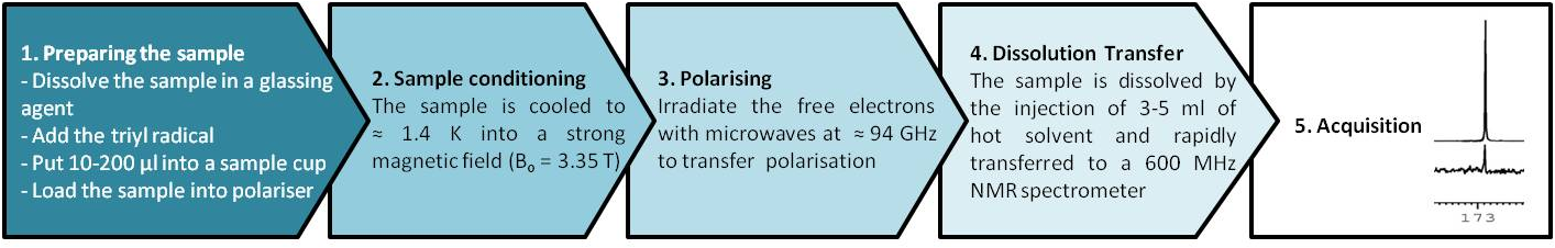 What is DNP? Obtaining enhanced NMR signals for in-vitro and in-vivo applications