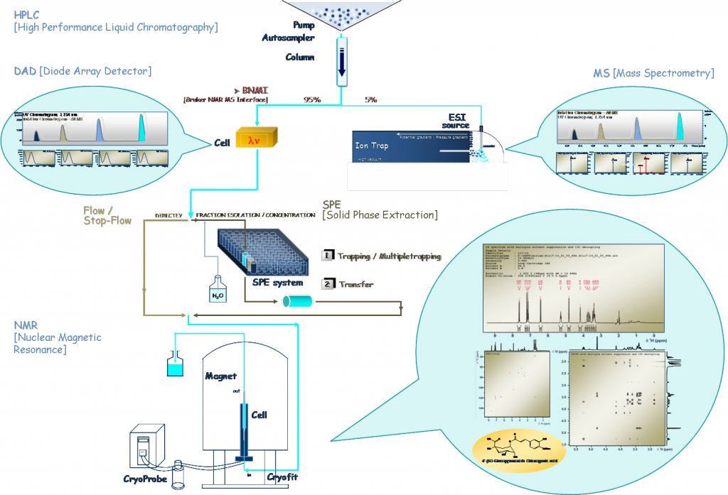 HPLC-DAD-(SPE)-NMR/MS II: fundamentals and working modes