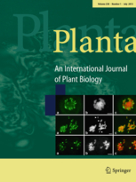 Planta - Journal cover