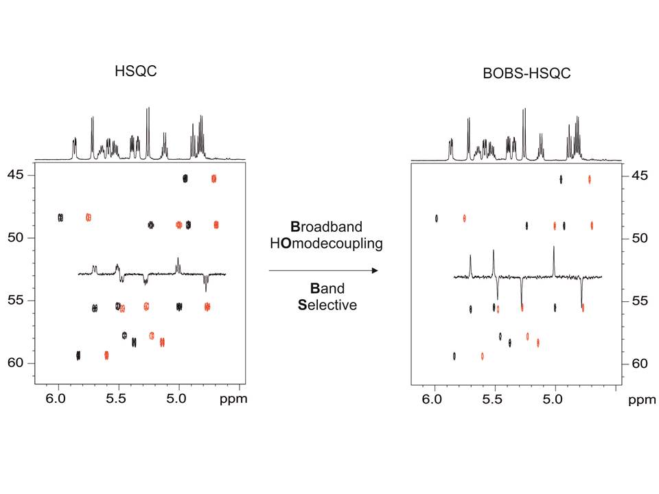 Full sensitivity and enhanced resolution in homodecoupled band-selective NMR experiments