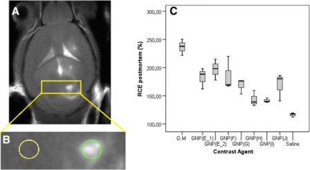 Ex vivo method to evaluate MRI contrast agents
