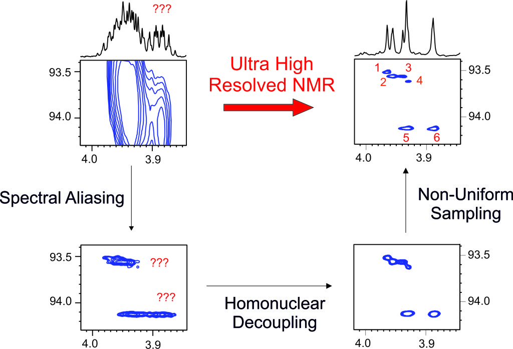 PhD Thesis: Development of Resolution-Enhanced NMR Techniques for Improved Small Molecules Structural Analysis