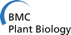 logo_BMCPB