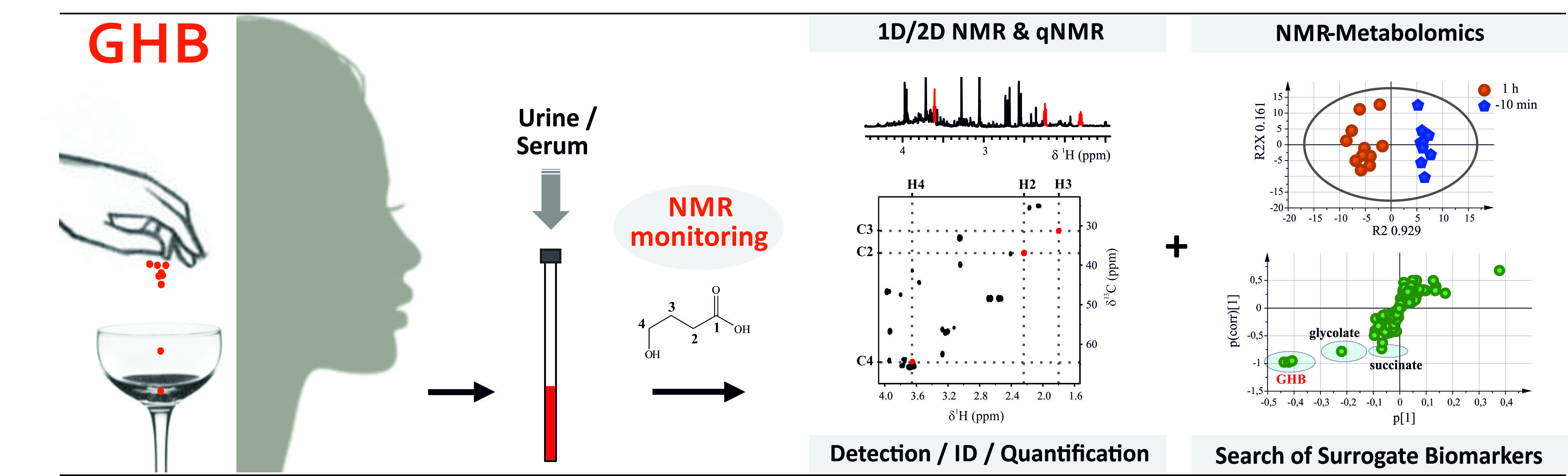 NMR could improve the detection of “date rape” drug GHB