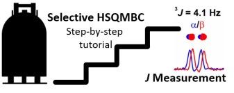 Measuring Long-Range Heteronuclear Coupling Constants with Sel-HSQMBC Experiments: A Tutorial